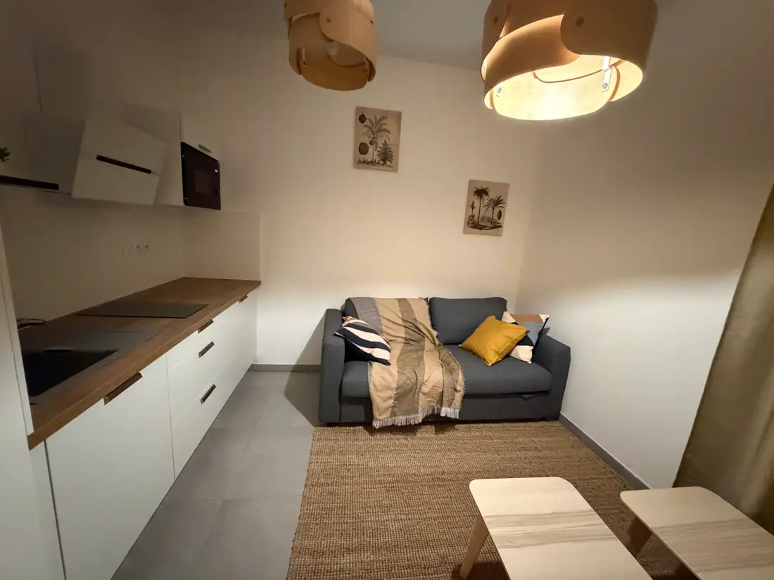 Chambre d'hôte de la résidence Wellcome Cocoon à Lyon 7 : studio avec canapé et cuisine équipée